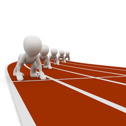 九游娱乐APP-中国篮球职业联赛赛事运营风险评估与管理对策分析，篮球赛事运营方案